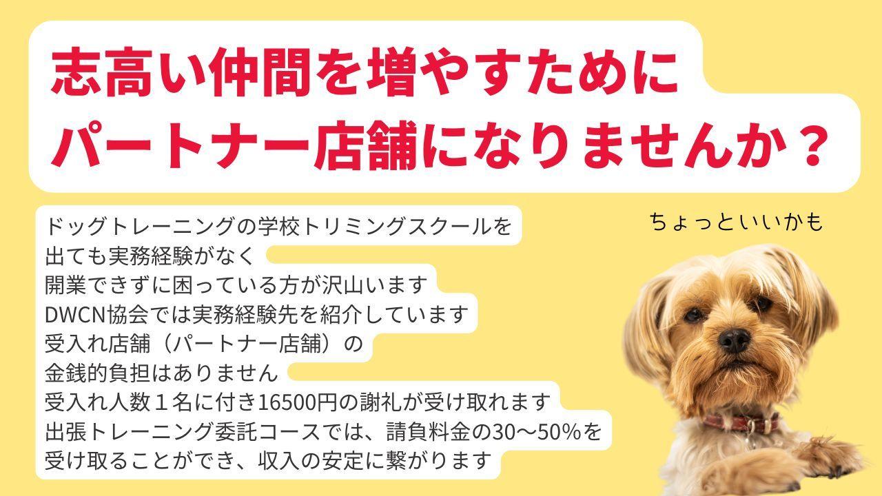 志高い仲間を増やすために パートナー店舗になりませんか？ドッグトレーニングの学校トリミングスクールを 出ても実務経験がなく 開業できずに困っている方が沢山います DWCN協会では実務経験先を紹介しています 受入れ店舗（パートナー店舗）の 金銭的負担はありません 受入れ人数１名に付き16500円の謝礼が受け取れます 出張トレーニング委託コースでは、請負料金の30～50％を 受け取ることができ、収入の安定に繋がります